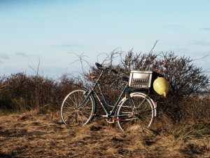 Fiets op Schiermonnikoog