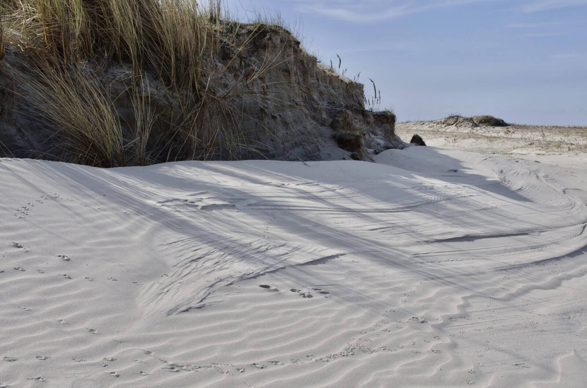 Duinen op Schiermonnikoog