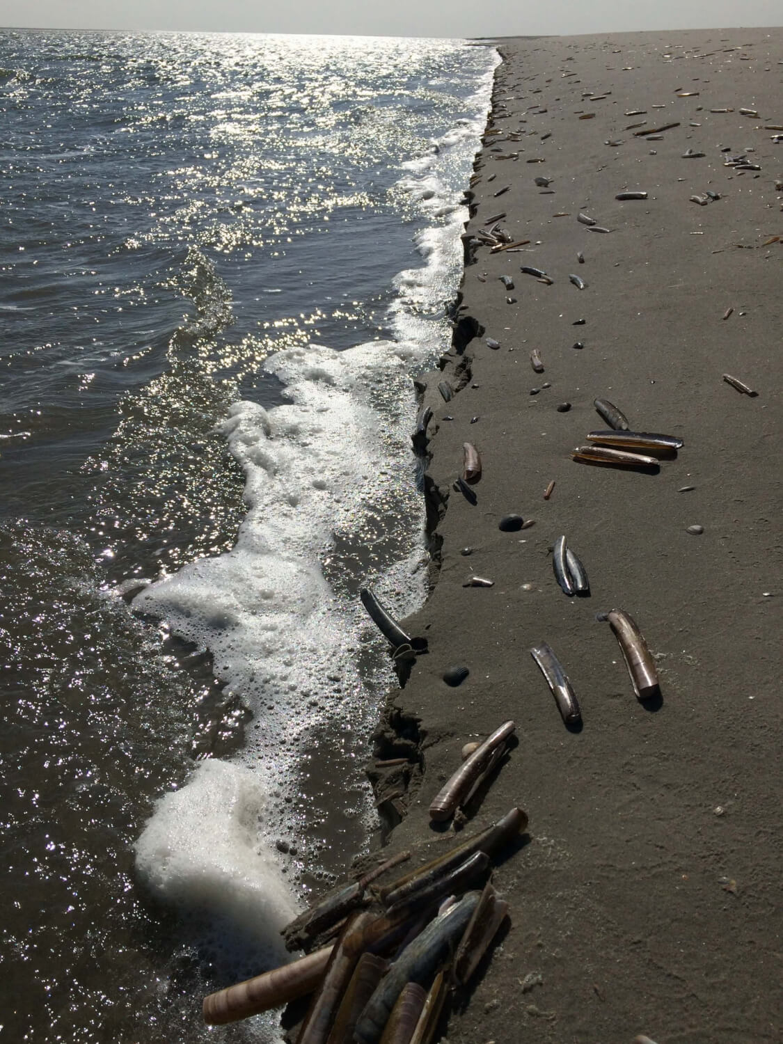 Zee en strand op Schiermonnikoog